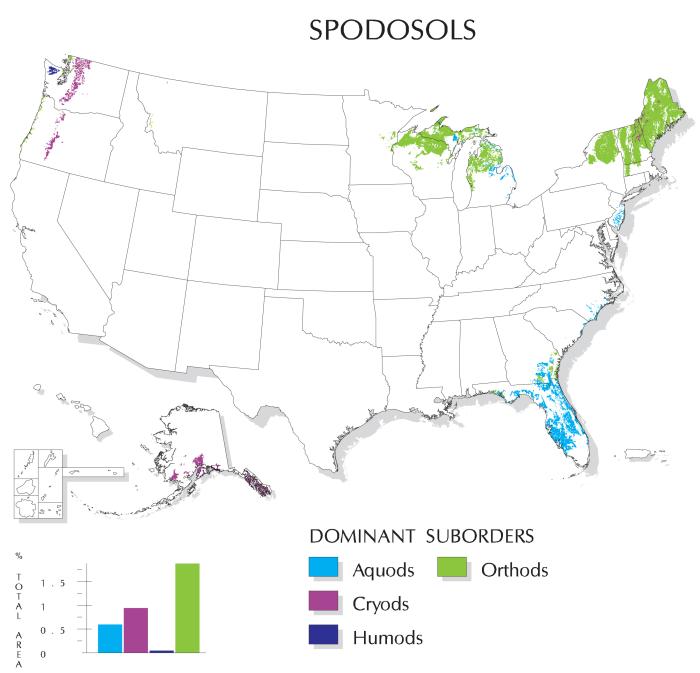 Map showing location of Spodosols