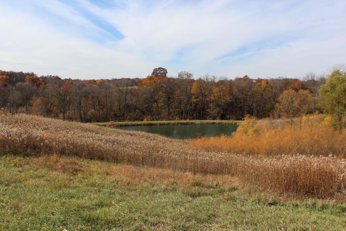 landscape view of pollinator habitat, wetland, forested area, and grasses