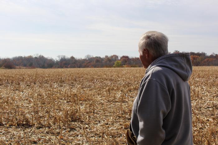 landowner looking at harvested field with corn residue