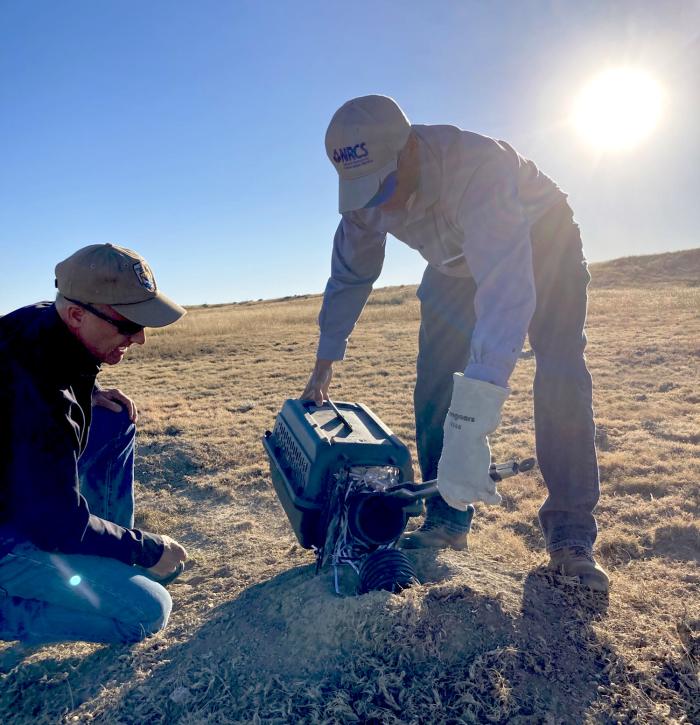 NRCS staff along side Fish and Wildlife Service Staff releasing black-footed ferrets
