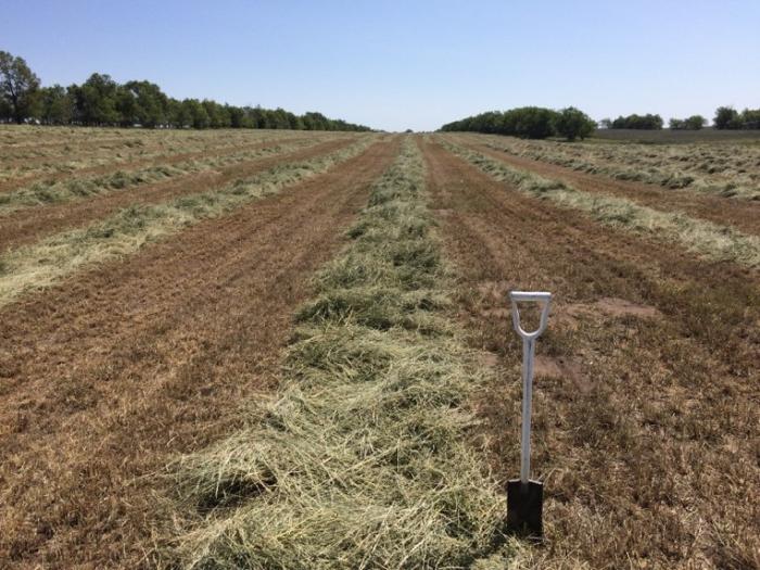 Soil, Field