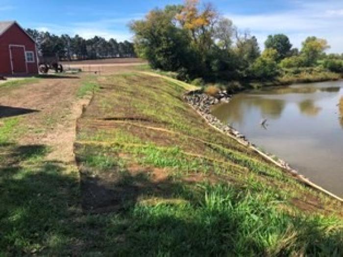 With construction complete, grass seeded on the riverbank grows through the geotextile fabric. The vegetation will help prevent the soil from eroding.