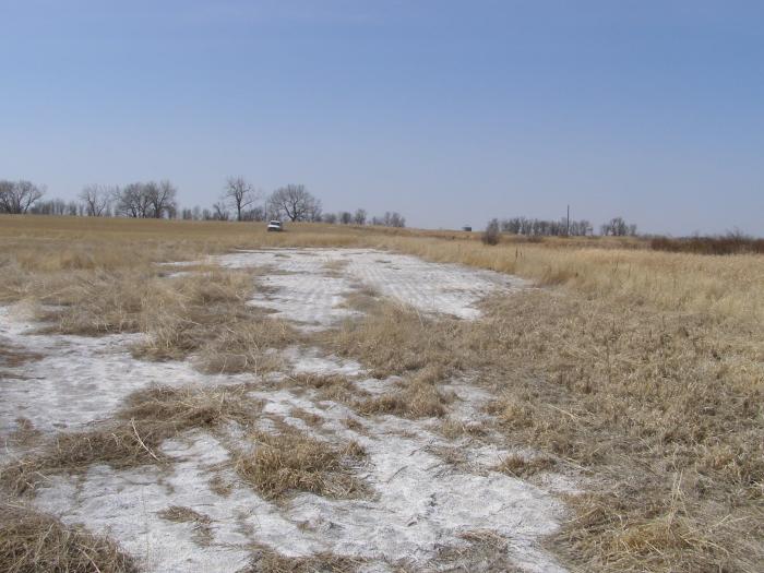 soil salinity, field