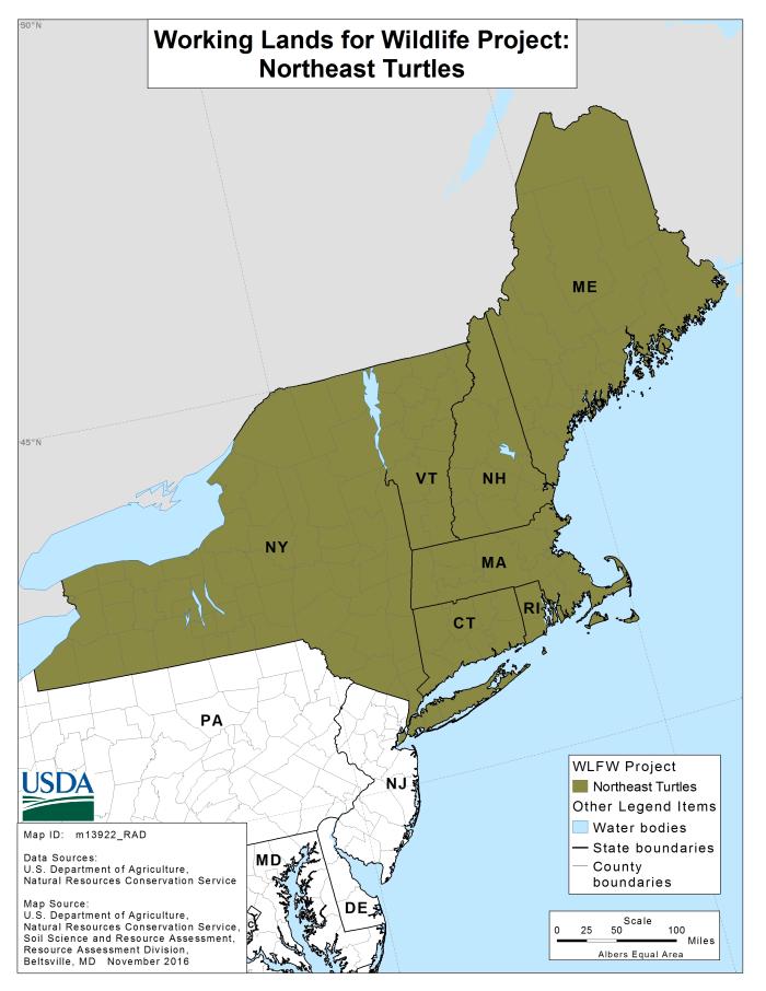 Northeast Turtles Map