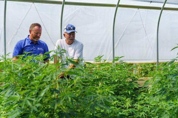 Jeff Garland (right) gives Indiana NRCS district conservationist Lee Schnell a tour of Papa G’s Organic Hemp Farm in Crawford County, IN June 23, 2022