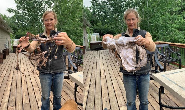 Woman holding up undies that were buried in garden and lawn