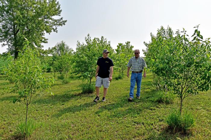 Pottawattamie County farmer Brent Leighton (left) walks through his farmstead tree planting with NRCS District Conservationist Terry Gleaves. Leighton received planning and financial assistance for the trees through the Conservation Stewardship Program (CSP).