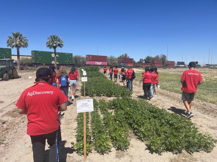 Students in matching red shirts walking past plots of vegetation
