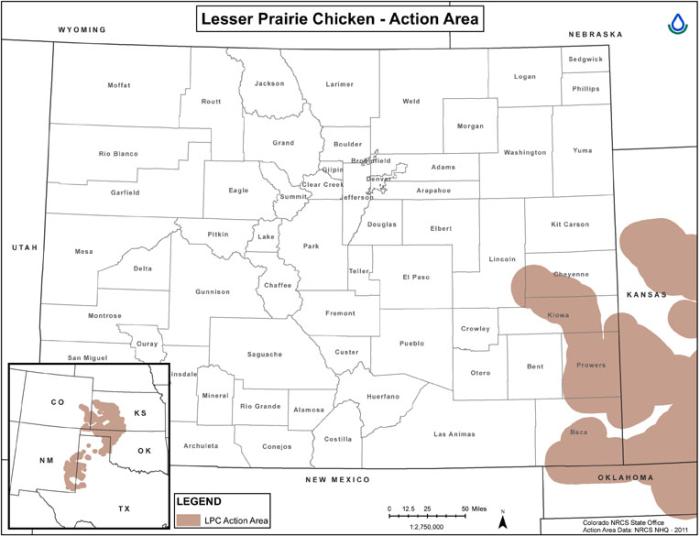 Colorado Lesser Prairie Chicken Map