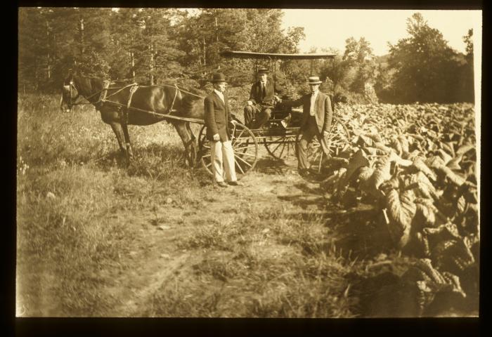 Cecil County MD 1899