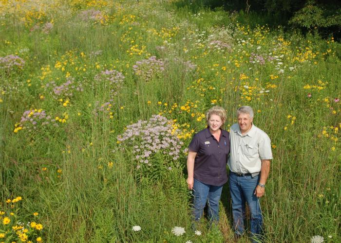 People in Field pollinator habitat