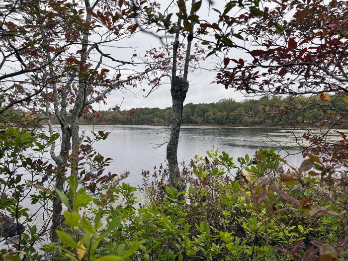 Pond in Hopkinton, Rhode Island, in the headwaters of Tomaquag Brook - Pawcatuck River watershed.