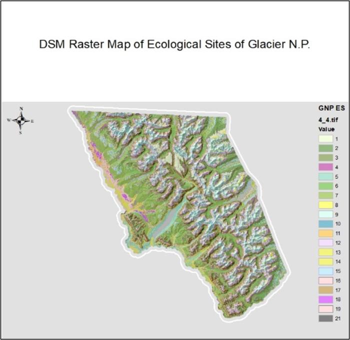 Example of a Raster Ecological Survey created with a DSM framework for Glacier National Park in Montana.