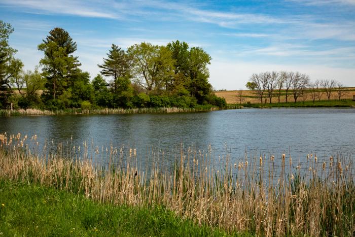 Pond held by one of the Badger Creek watershed structures in Madison County, Iowa.