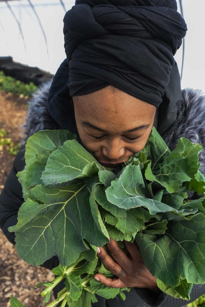 Sharrona Moore, the found of Lawrence Community Gardens, harvests collard greens in the garden's high tunnel on Feb. 2, 2021. The high tunnel was funded in part through the Natural Resources Conservation Services' Environmental Quality Incentives Program (EQIP), which Moore signed up for in 2018. The EQIP funding will also be used to plant a hedgerow at the garden located in Lawrence, Indiana. (Indiana NRCS photo by Brandon O'Connor)