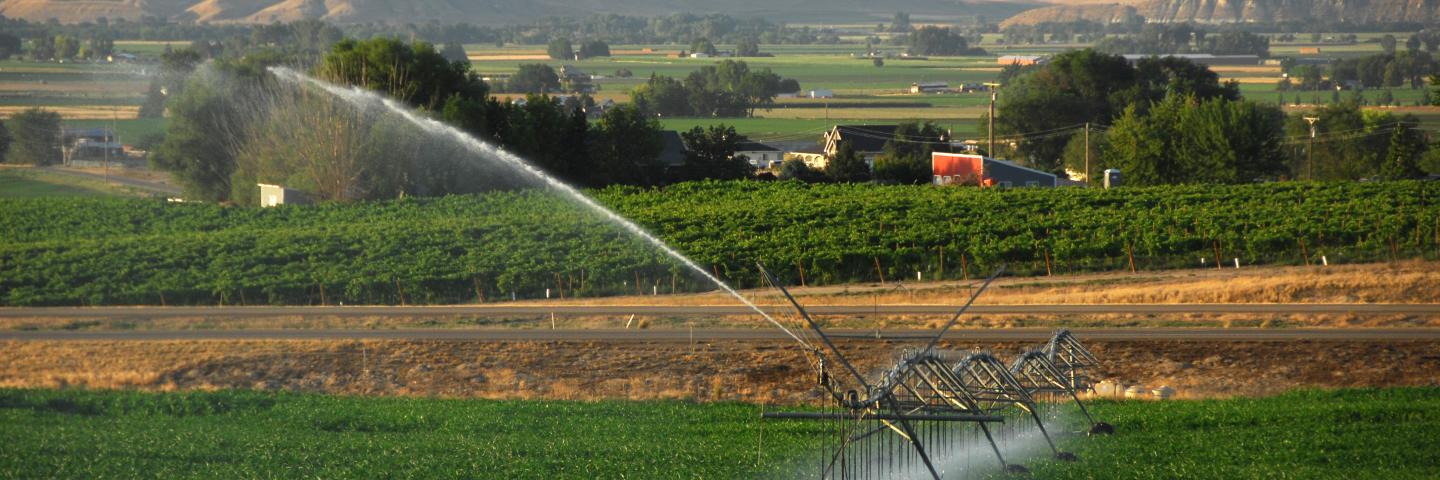 water irrigation field landscape