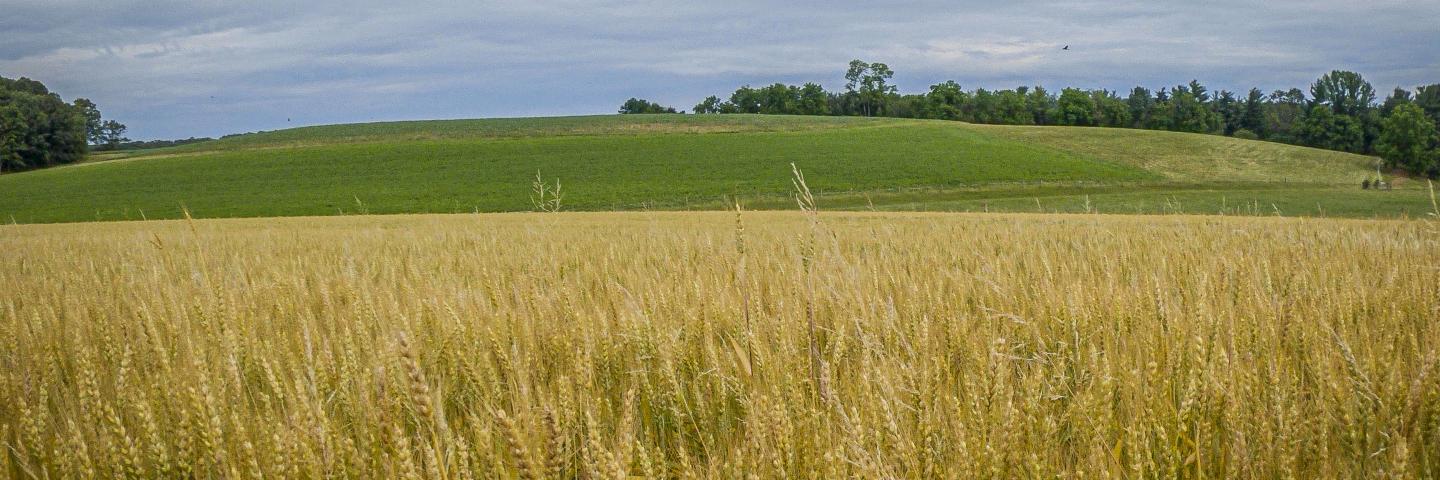 field conservation