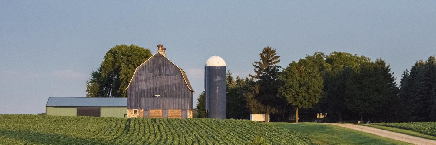 Farm landscape with a barn and a silo.