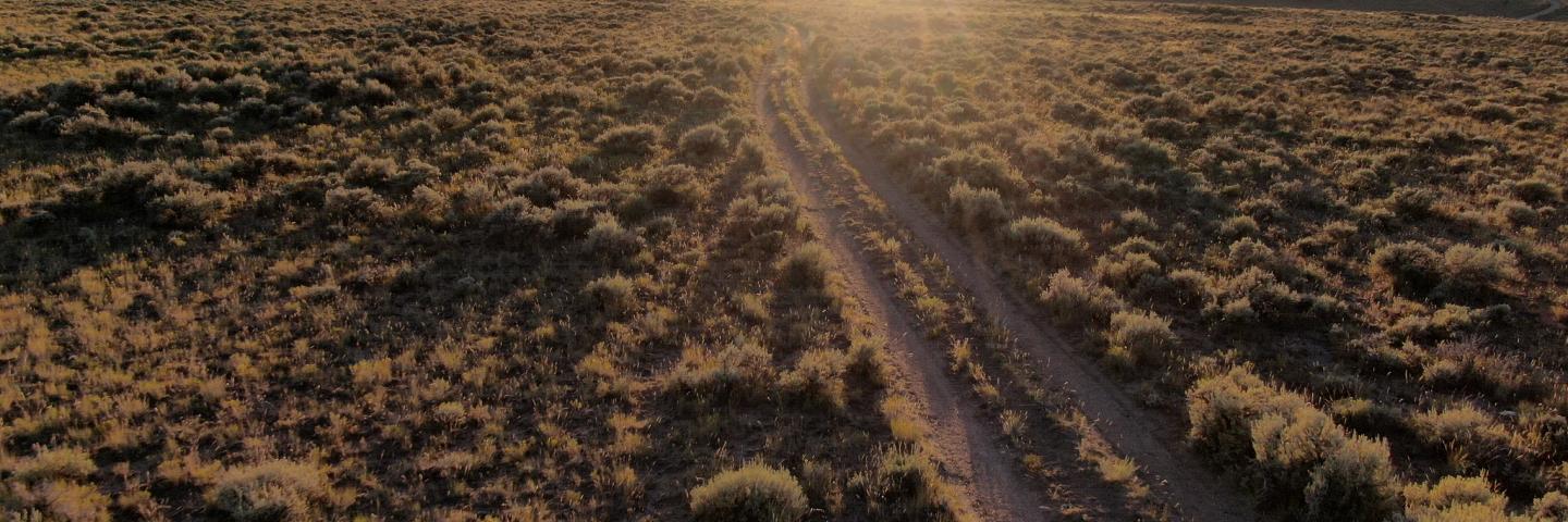 Aerial view of rangeland near Sauerbier Ranches LLC.