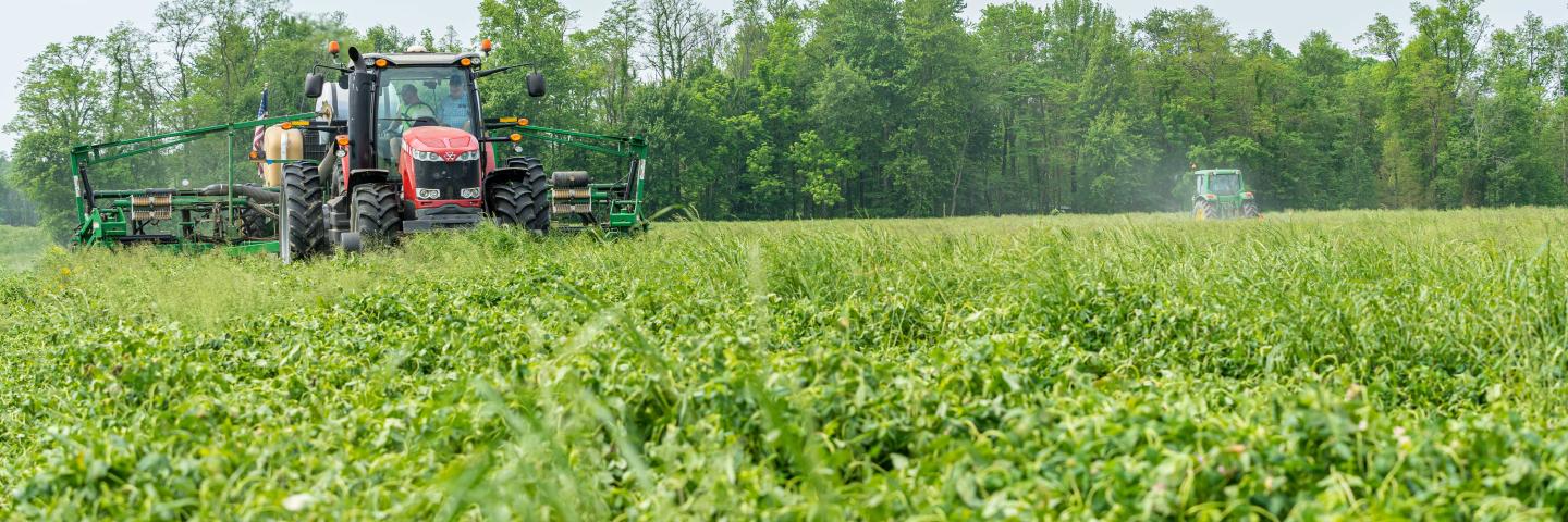 Nick Wenning plants corn directly into a field covered in red clover on May 24, 2021 in Greensburg, Indiana.