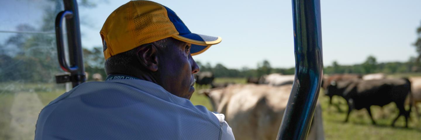 Fred Newhouse watches his cattle herd at Rhonda Ranch in New Waverly, Texas.