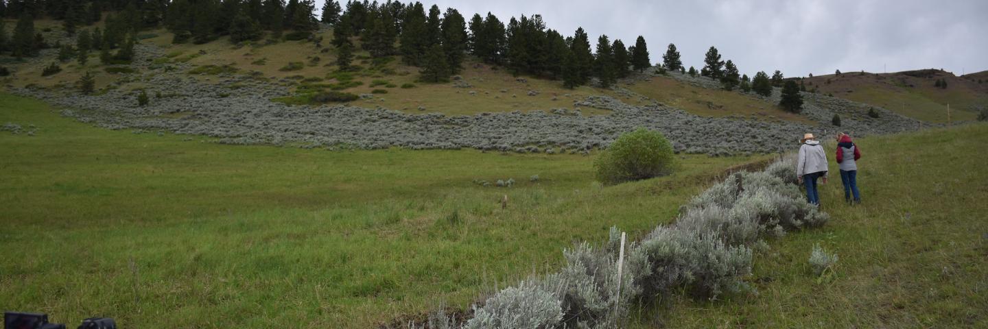 Wayne Burleson and cedar Magone on Bench Ranch in Stillwater County, Montana