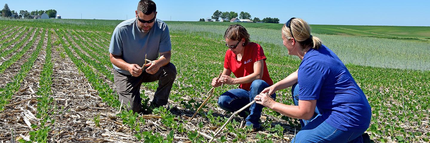 Iowa NRCS State Soil Health Specialist Hillary Olson talks about cover crops with Will and Cassie Cannon in 2021 near Prairie City.