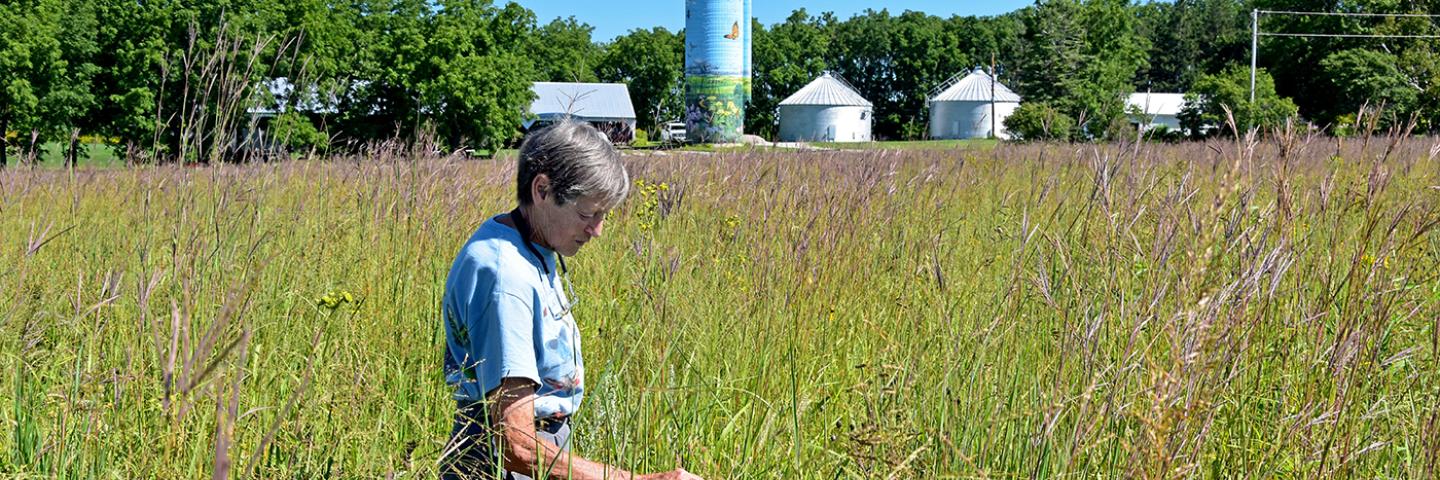 Cathy Irvine of Dysart was named 2022 Iowa Conservation Woman of the Year.