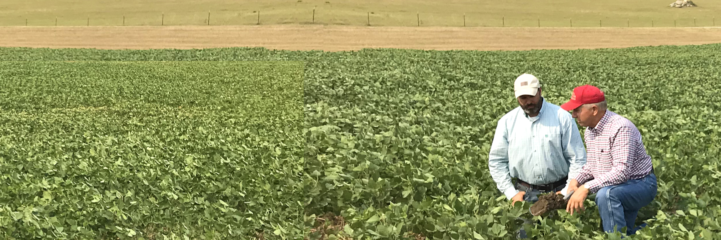 Conservation Tech Assistance Field