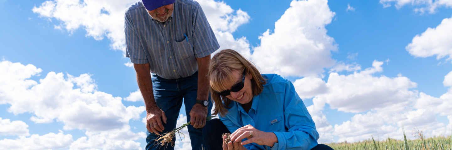 Producer Dan Buerkle and NRCS Supervisory District Conservationist Ann Fischer look at soil structure of wheat field during drought. Fallon County, MT.