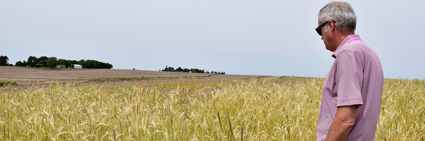 District Conservationist John Bruene looks at cover crops on Eastern Iowa Airport cropland.