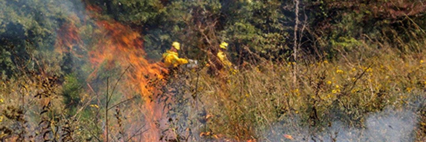 Fighting wildfires in California