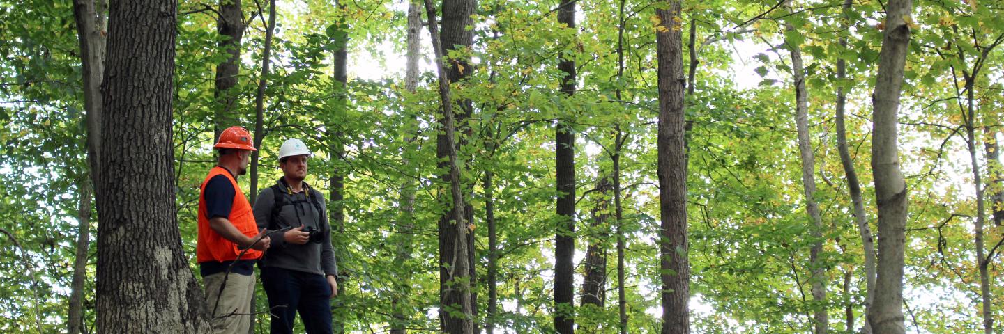 Technical Service Provider shows NRCS employee area of forest getting ready to go through an oak regeneration project