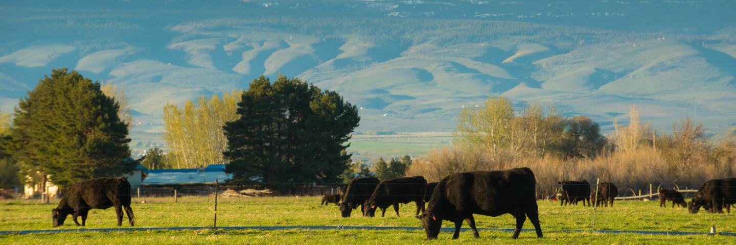 Grazing Lands Conservation Initiative in Montana