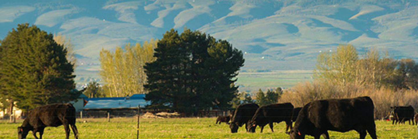 Grazing Lands Conservation Initiative