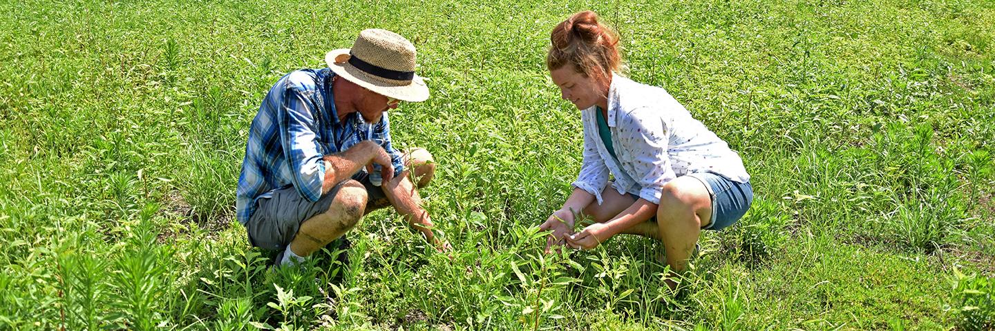 Mollie and Tobin Krell look at their newly seeded CRP ground.