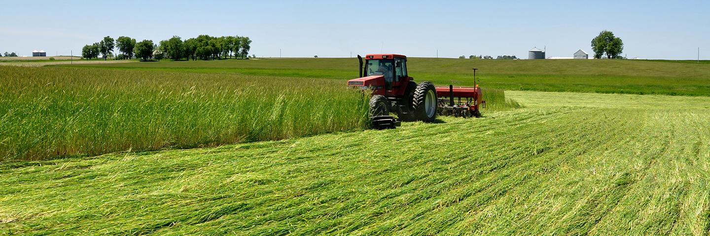 Levi Lyle roller crimps cereal rye while planting soybeans.