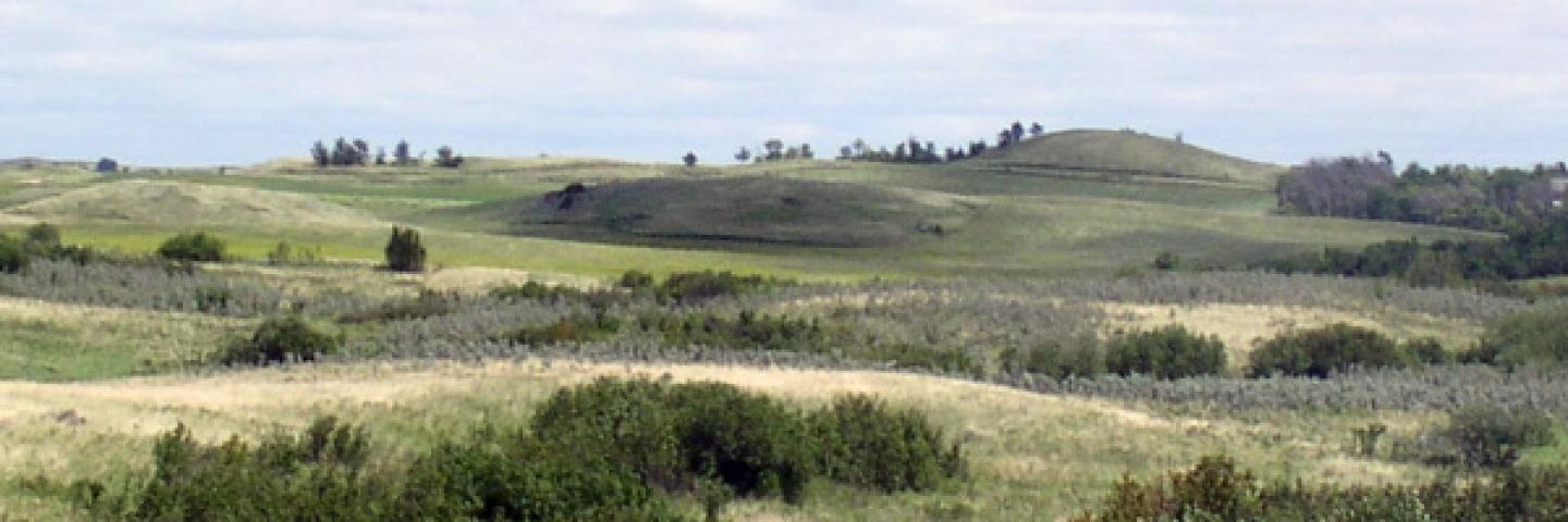 MLRA 55B Landscape