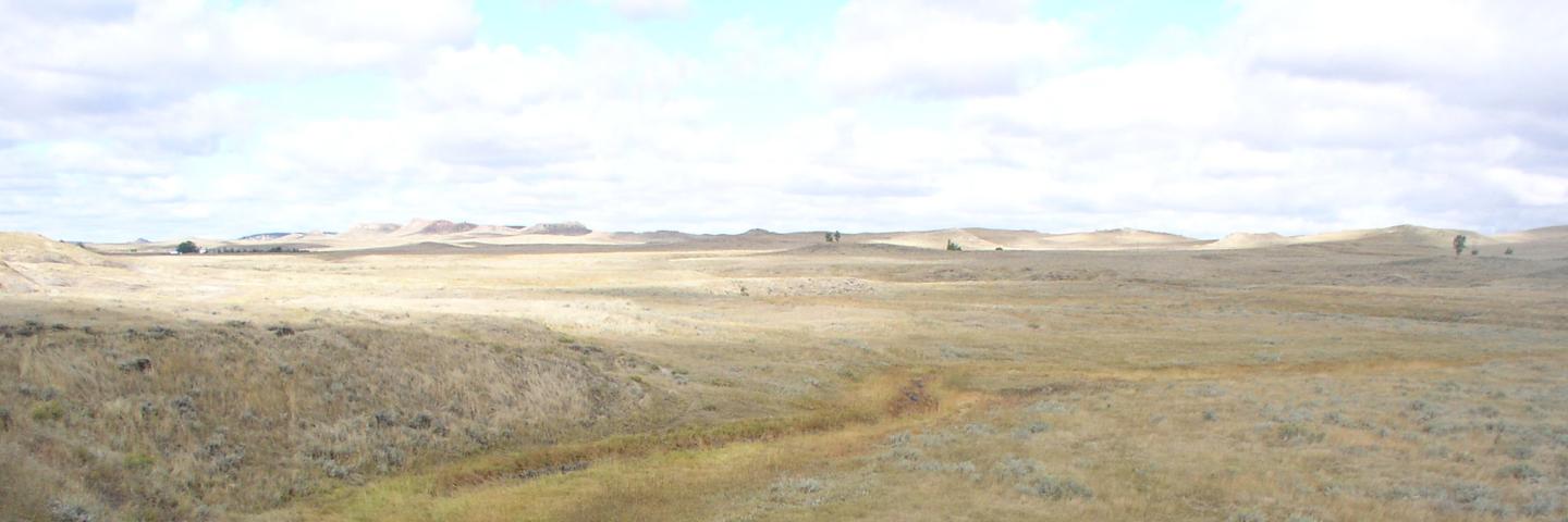 Riparian area in Fallon County, Montana.
