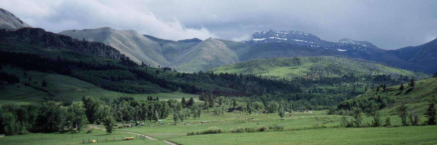 Scenic view in Lewis and Clark County, Montana.