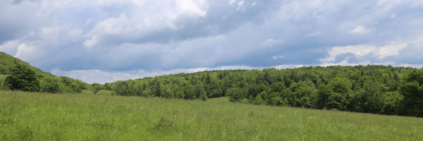 Pasture in Berkshire County, Massachusetts