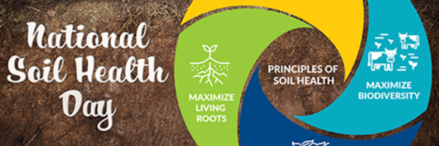 Soil Health