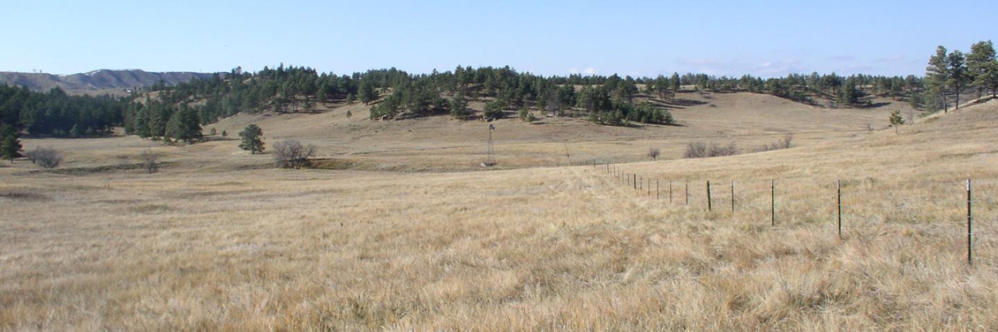 Rangeland south of Ekalaka near the Custer National Forest in Carter County, Montana.