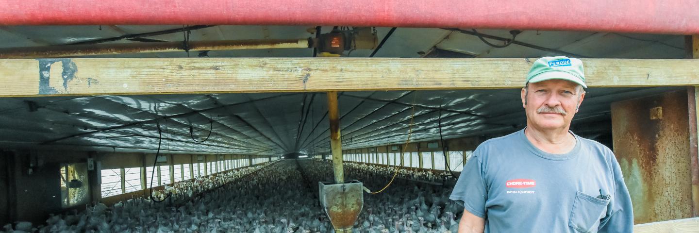 Kenny Lecocq, an Indiana turkey farmer, is enrolled in the Natural Resources Conservation Service's EQIP program. Lecocq received help building a manure storage shed and learned how to use the turkey waste on his fields.