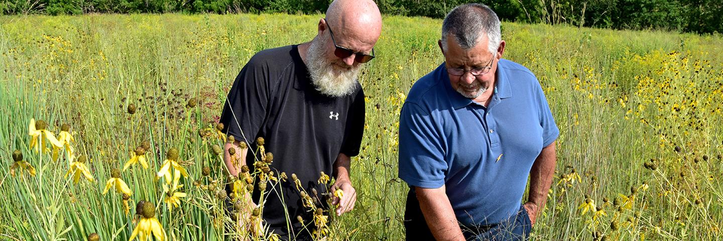 Neighbors Bob Steen and John Sandberg implemented CRP ground near the Mechanicsville city limits.