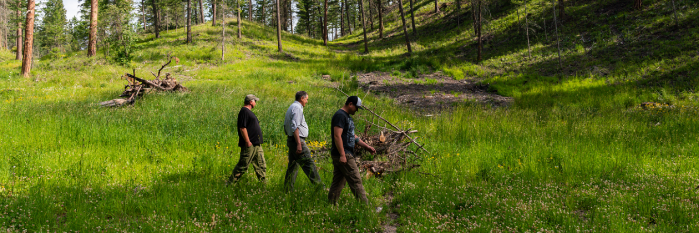 Shawn DeFrance, CSKT member, NRCS Tribal Conservationist Herb Webb and James Lozeau, CSKT member, walk along area of recent forest management. Flathead Reservation, Lake County, MT.