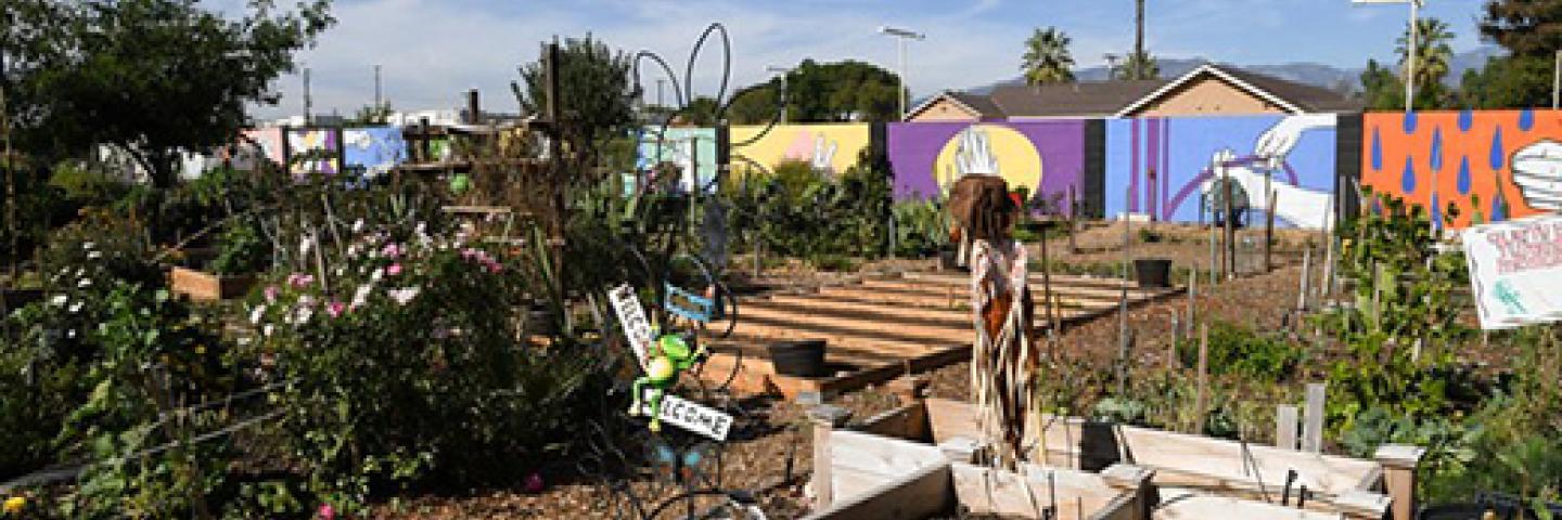 Urban agriculture in California