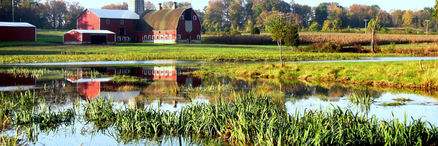 A farm sits in the background of a wetland. 