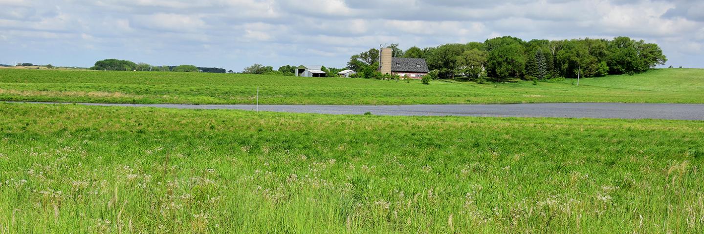 Wetland Easement in Winnebago County
