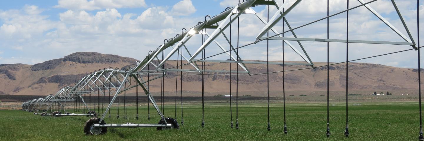 Center pivot sprinkler installed in Nevada